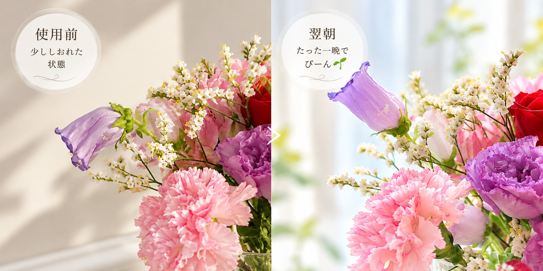 切り花の使用前と翌朝の比較写真